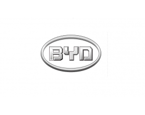 Автоключі з Remote BYD