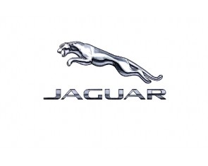 Силіконові чохли до автоключів Jaguar