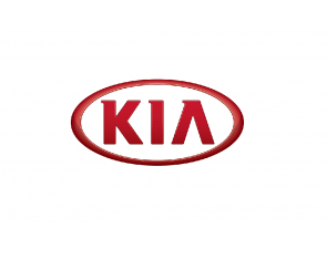 Викидні автоключі KIA