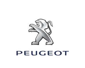 Викидні автоключі Peugeot