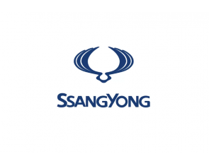 Силіконові чохли до автоключів Ssang Yong