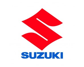 Викидні автоключі Suzuki